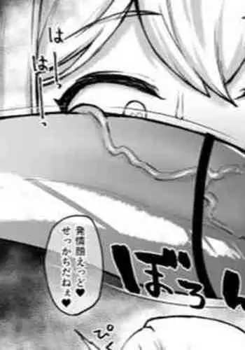 Hinnyuu Shemale to Osu Homo Koubi